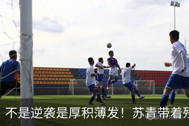 不是逆袭是厚积薄发！苏青带着残阵力克上海，陈平调度尽显智慧